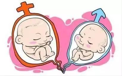 正规同性代孕咨询包生儿子